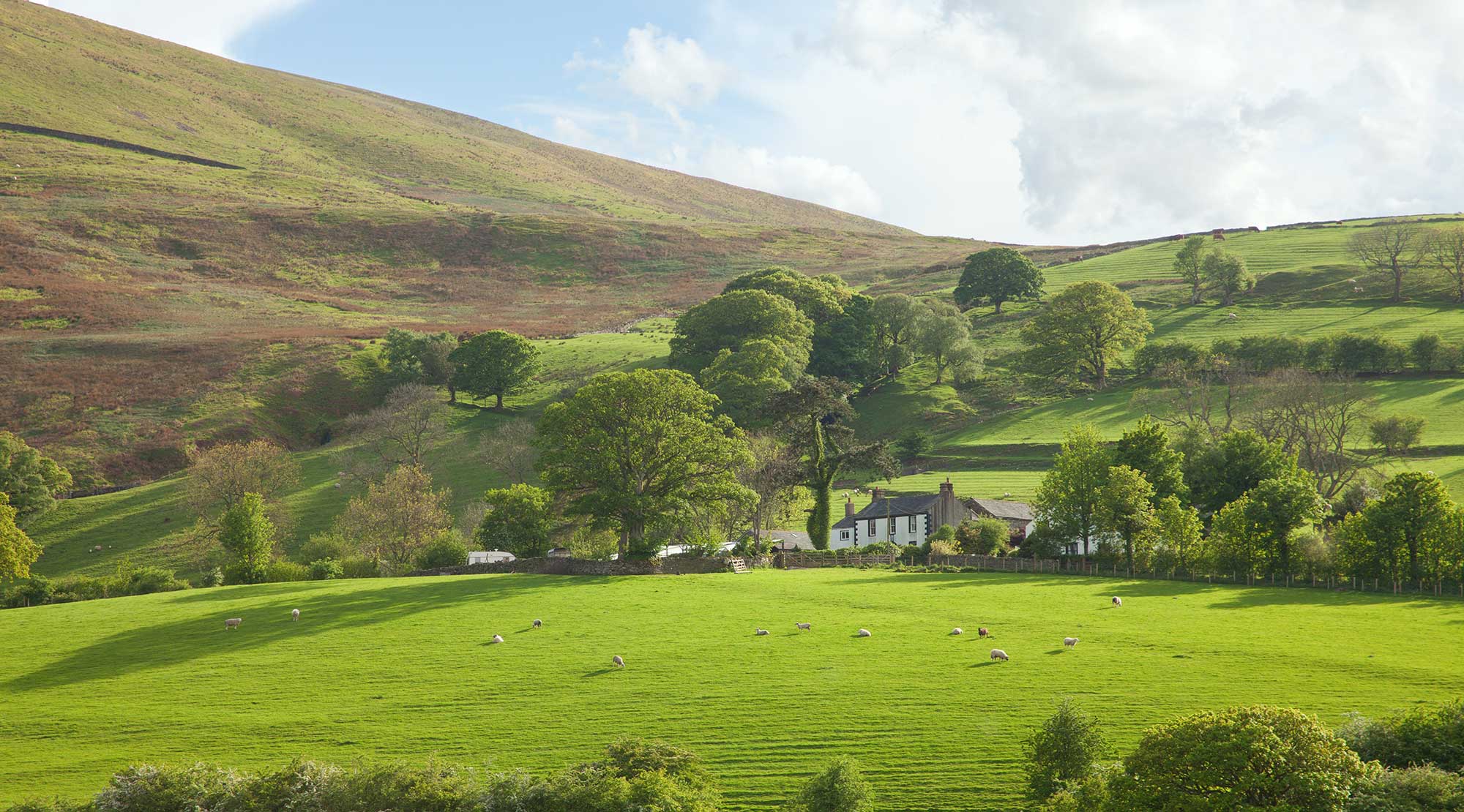 Last Minute Cottages In Lake District To Rent Up To 60 Off